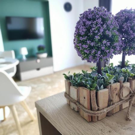 Apartament Karpaty Krynica Zdroj Εξωτερικό φωτογραφία
