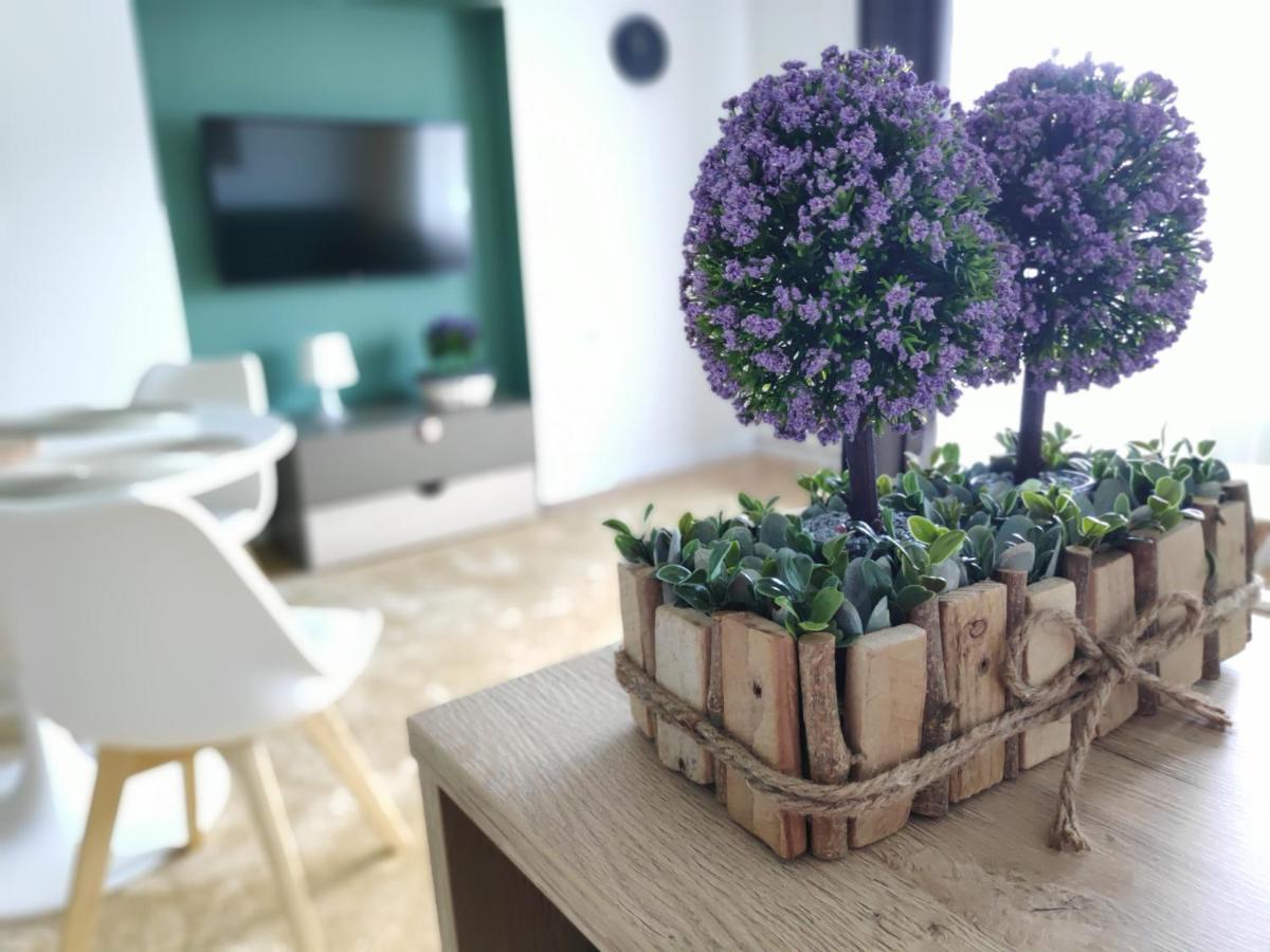 Apartament Karpaty Krynica Zdroj Εξωτερικό φωτογραφία